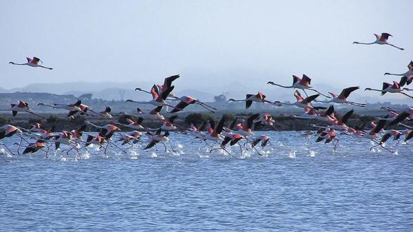 Piso en Monte Faro-Altomar