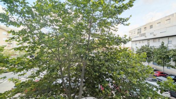 Piso en avenida dels Llauradors