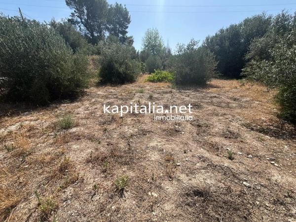 Casa independiente en camino Alqueries de Benifloret, 227