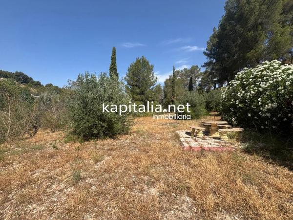 Casa independiente en camino Alqueries de Benifloret, 227