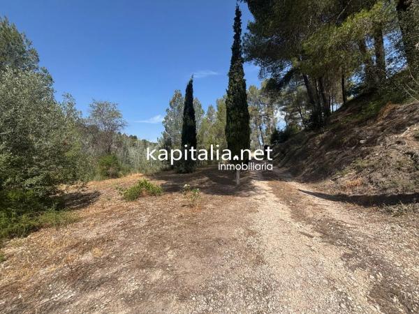 Casa independiente en camino Alqueries de Benifloret, 227