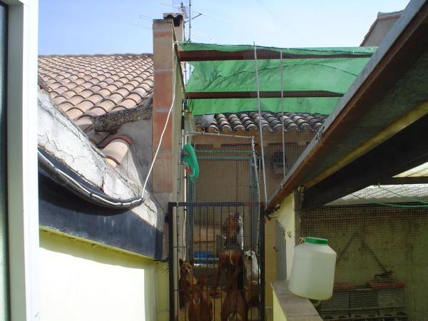 Chalet adosado en Nueva, 24