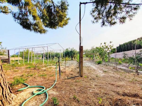 Casa independiente en Partida Rochet, 141