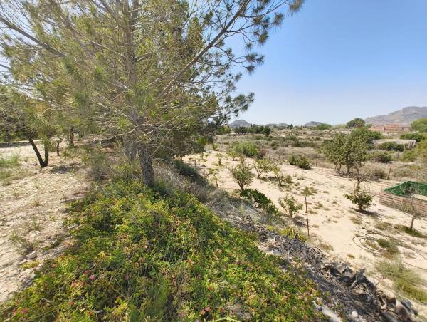 Casa independiente en calle la Cañada
