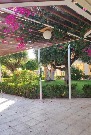 Piso en avenida Oviedo, 4