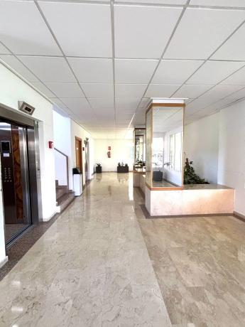 Piso en avenida Oviedo