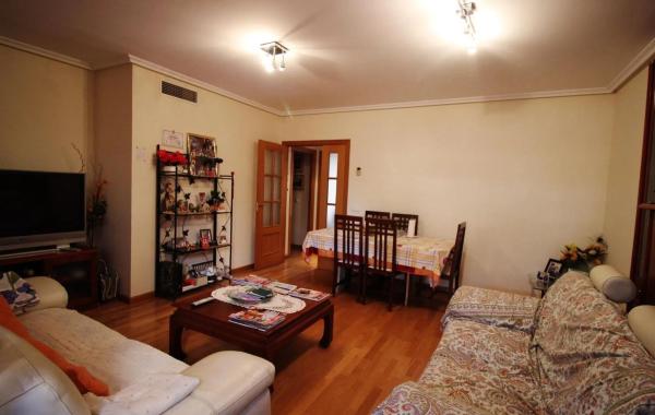 Piso en avenida Médico Ricardo Ferre