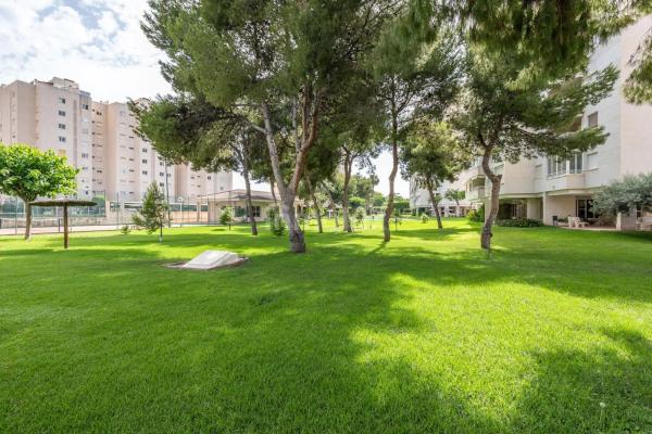 Piso en avenida Oviedo