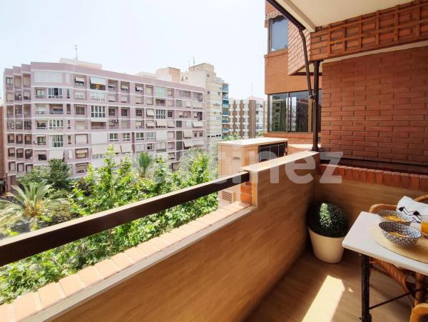 Piso en avenida Oscar Espla s/n