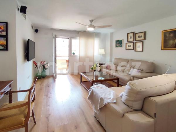 Piso en avenida Oscar Espla s/n