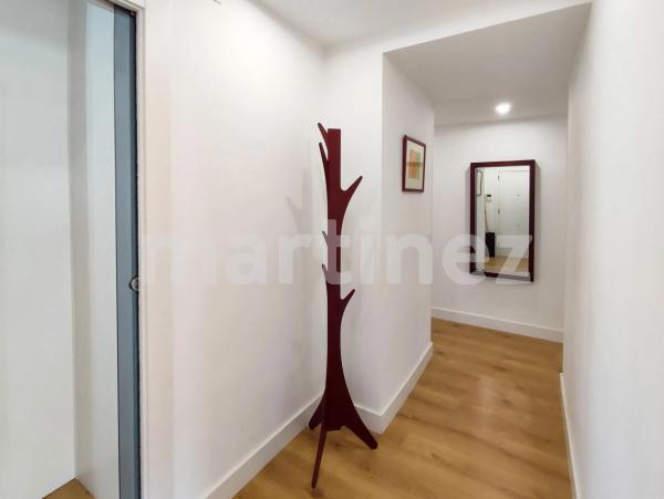 Piso en avenida Oscar Espla s/n