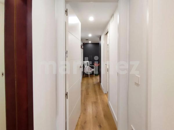 Piso en avenida Oscar Espla s/n