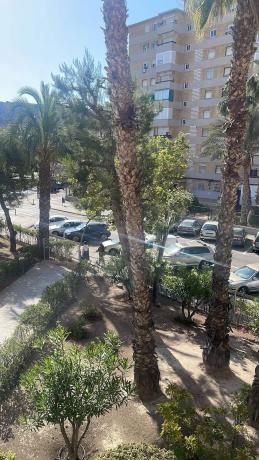 Piso en calle Fiscal Miguel Gutierrez carbonell, 15