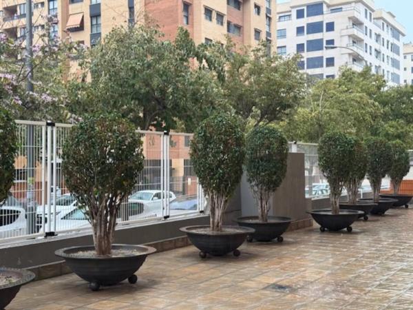 Ático en calle Hermano Felicísimo Ruiz