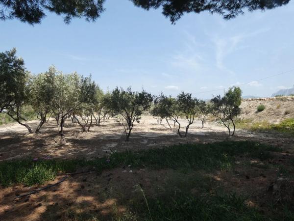 Casa independiente en Diseminado Monnegre, 56 d