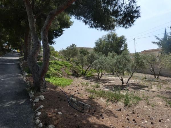 Casa independiente en Diseminado Monnegre, 56 d