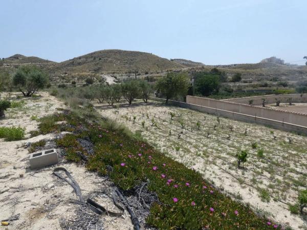 Casa independiente en Diseminado Monnegre, 56 d