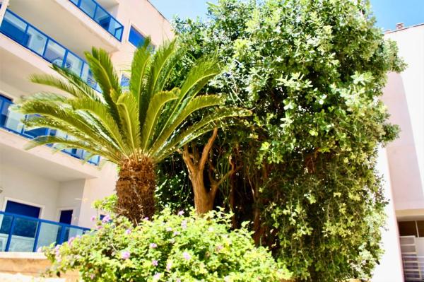 Piso en glorieta del Reino Unido s/n