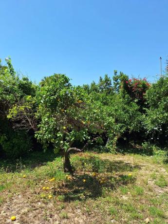 Casa independiente en calle Vial Flora de España, 38 -40