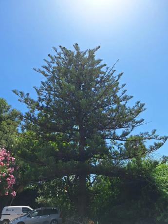 Casa independiente en calle Vial Flora de España, 38 -40