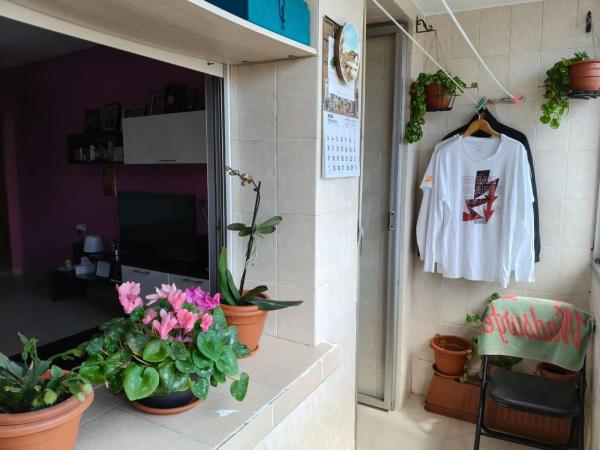 Piso en Barrio Plà del Bon Repòs-La Goteta