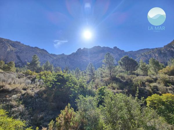 Casa independiente en camino de la Partida Pla Gralla, 24