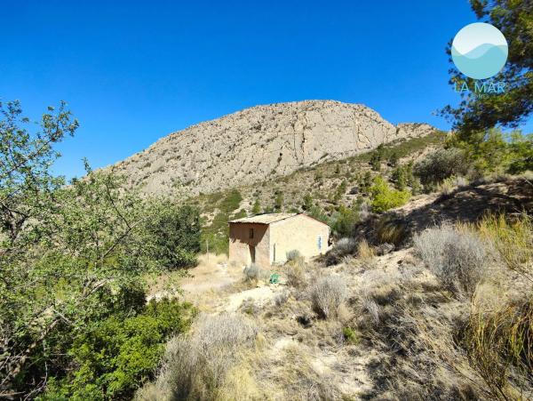 Casa independiente en camino de la Partida Pla Gralla, 24