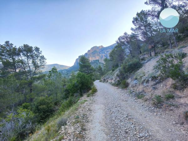 Casa independiente en camino de la Partida Pla Gralla, 24