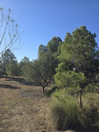 Casa independiente en trinquete