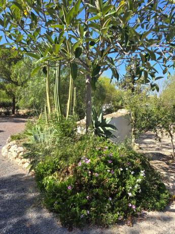 Casa independiente en trinquete
