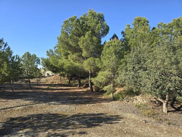Casa independiente en trinquete