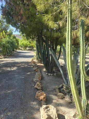 Casa independiente en trinquete