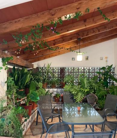 Casa independiente en trinquete