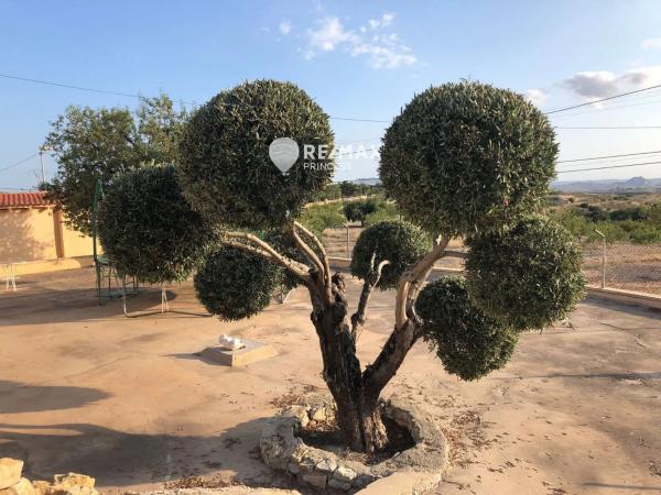 Casa independiente en calle Islas Galápagos