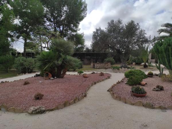 Casa independiente en calle del Moll