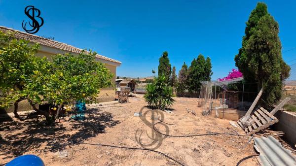 Casa independiente en calle de l' Andalucita