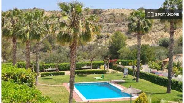 Estudio en alquiler en El Campello, Alicante