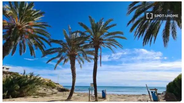 Estudio en alquiler en El Campello, Alicante