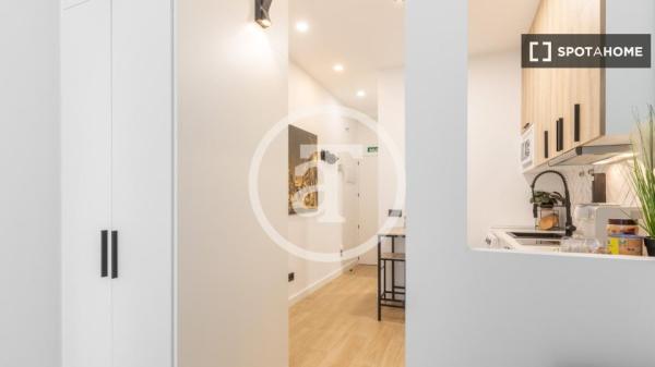 Estudio en alquiler en Justicia, Madrid