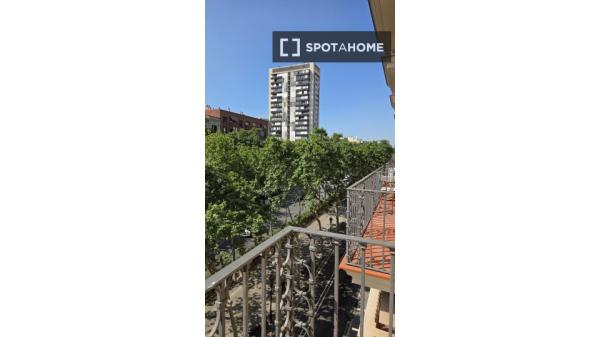 Habitación en piso compartido en barcelona.