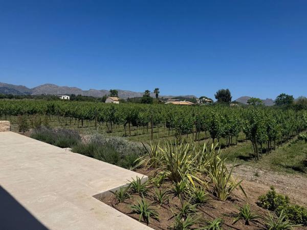 Casa o chalet independiente en venta en camino Diseminado Disseminat, 5