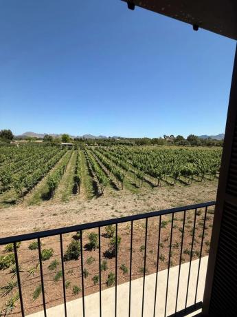 Casa o chalet independiente en venta en camino Diseminado Disseminat, 5