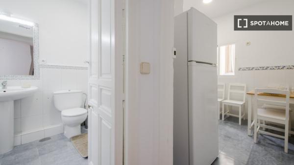 Alquilo habitacion en Madrid