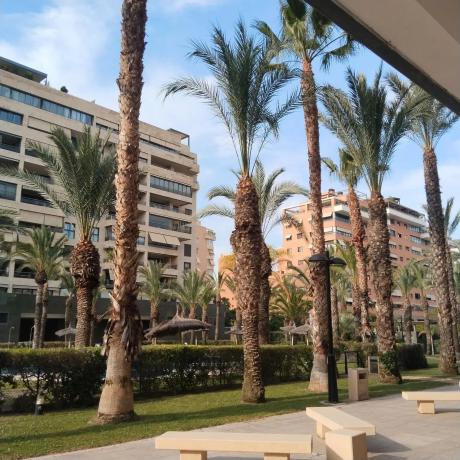 Piso en Barrio Cabo de las Huertas