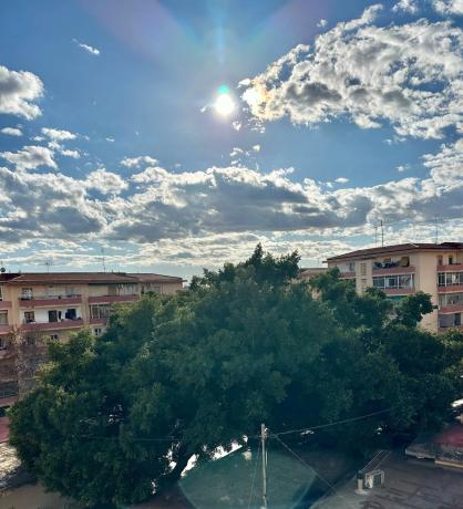 Estudio en plaza de Oran, 7