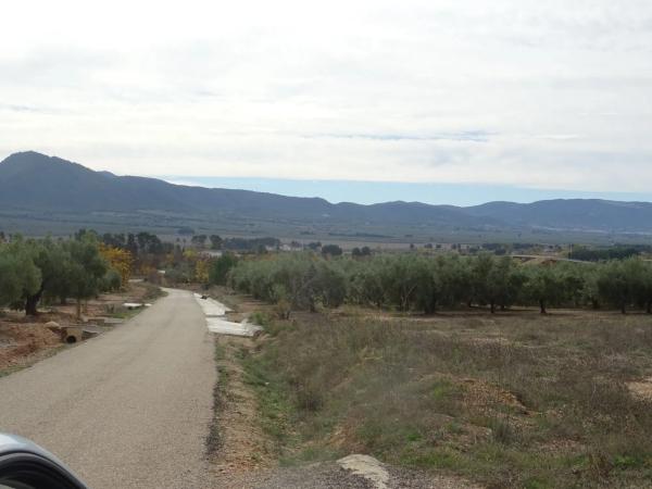 Terreno en P776+cp, 8