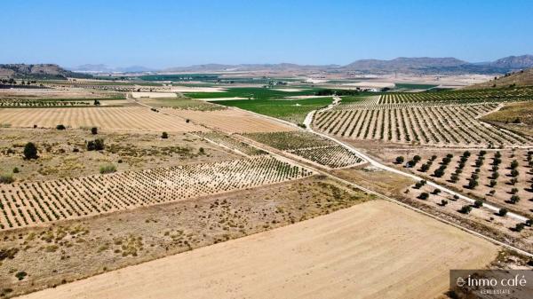 Terreno en Parcela 39 Cabezo Poli.