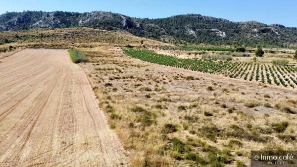 Terreno en Parcela 39 Cabezo Poli.