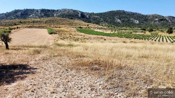 Terreno en Parcela 39 Cabezo Poli.