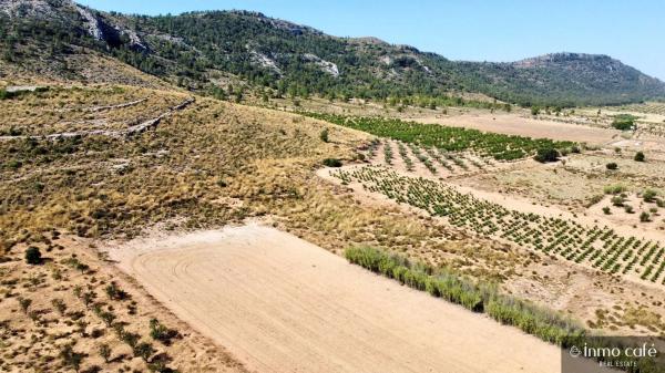 Terreno en Parcela 39 Cabezo Poli.